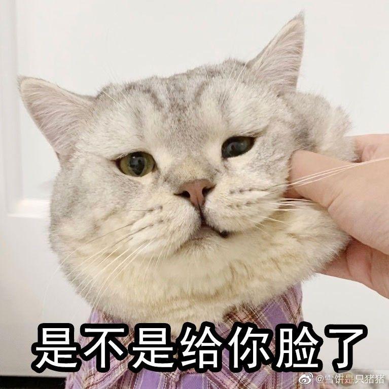 Gió nổi lên là biết: tâm trạng ai đó tan nát