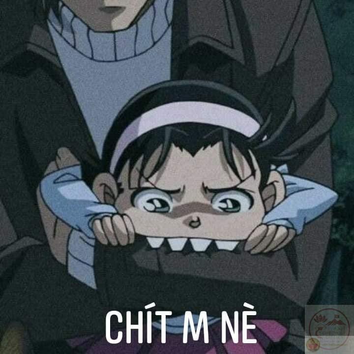 Biểu cảm khó đỡ của Conan qua lăng kính chế ảnh meme