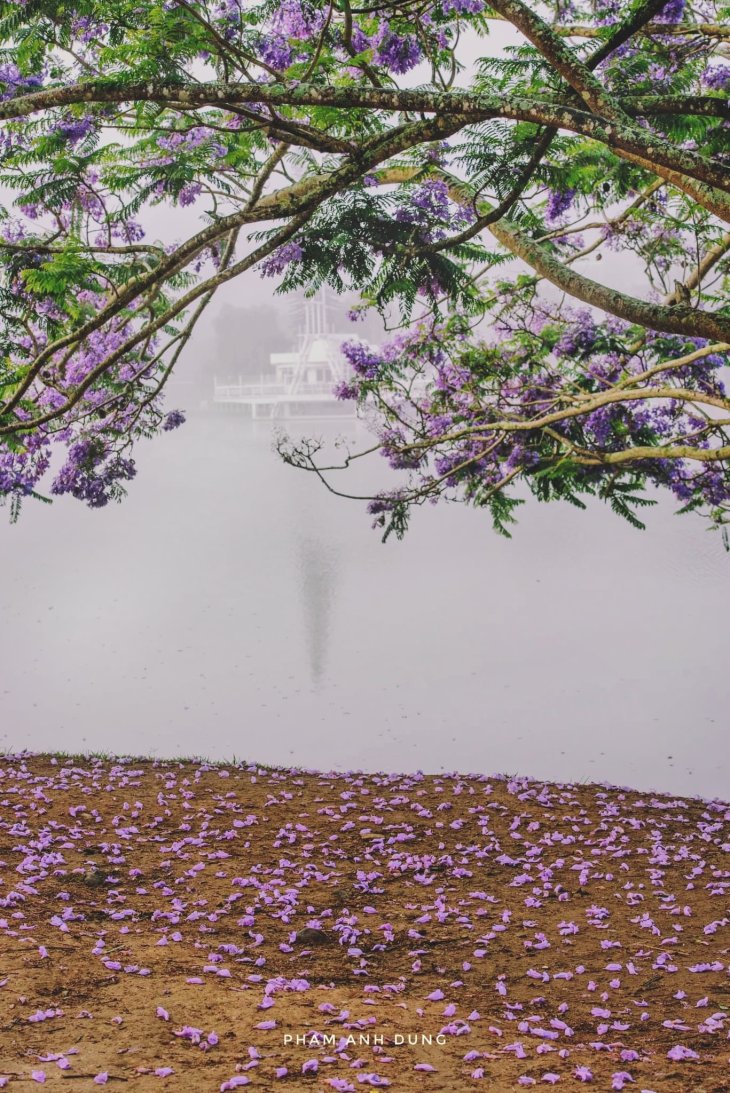 Anh Da Lat Buon 4