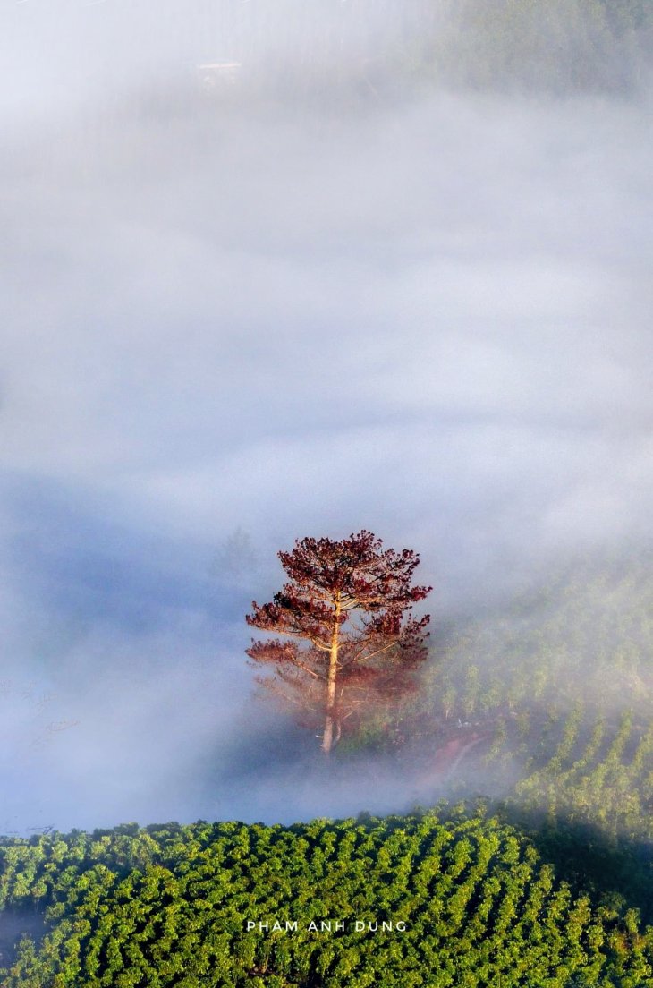 Anh Da Lat Buon 7