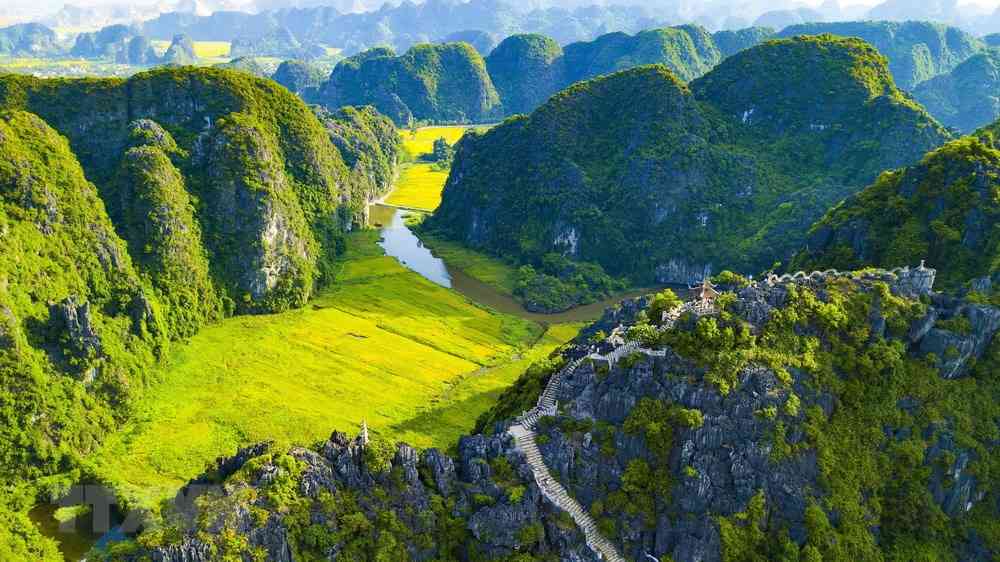 mùa lúa chín Ninh Bình