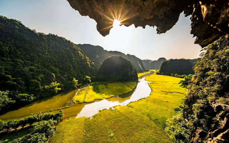 mùa vàng ninh bình