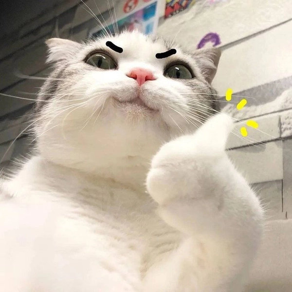 ảnh meme không chữ