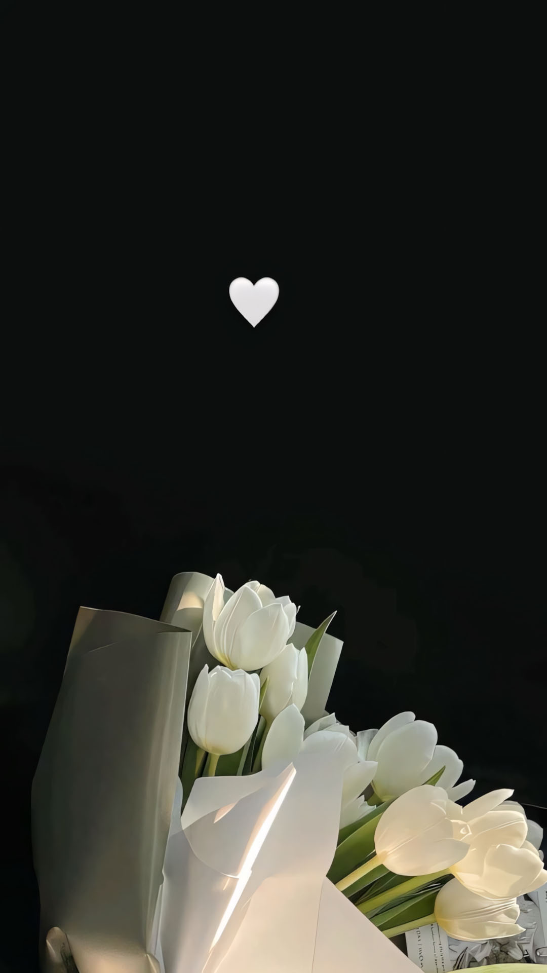 anh hoa tulip trang buon 1920px 1080px full hd 5