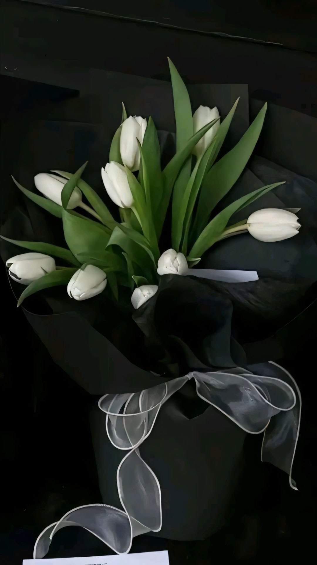 hinh nen dien thoai hoa tulip buon 1920px 1080px full hd 6