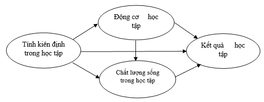 Ảnh hưởng của tính kiên định đến kết quả học tập của sinh viên: Vai trò trung gian của động cơ học tập và chất lượng sống trong học tập