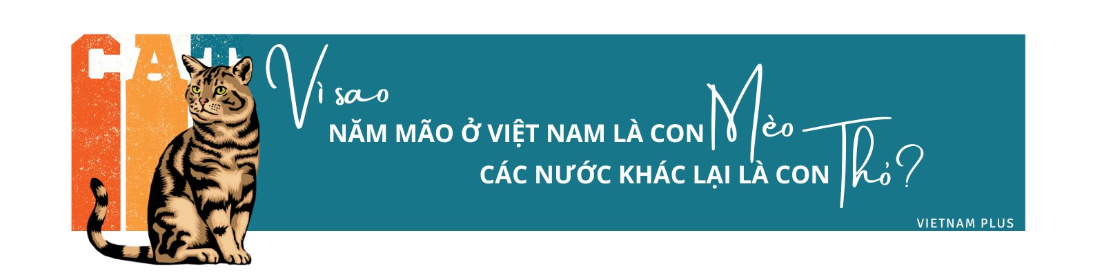 screen-shot-2023-01-19-at-02.54.49.png