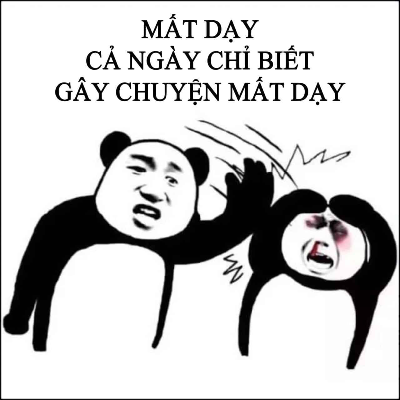 Ảnh chế mất dạy bựa với caption nổi, phù hợp làm wallpaper