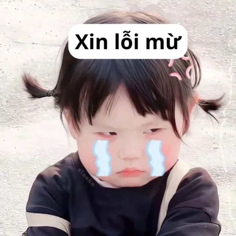Meme năn nỉ em bé dễ thương