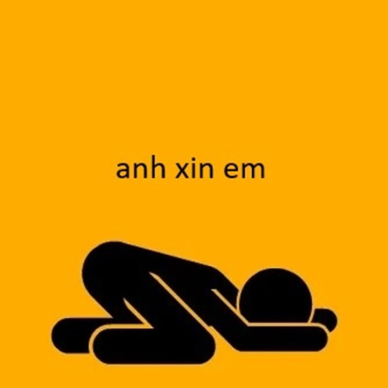 Meme xin xỏ hài hước