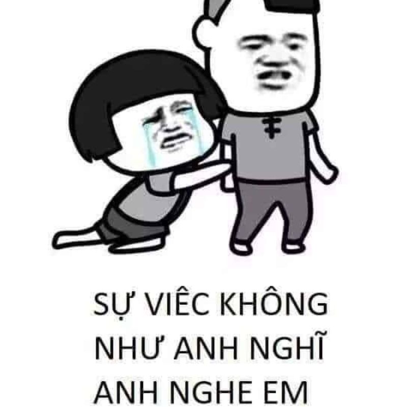 Meme năn nỉ hài hước