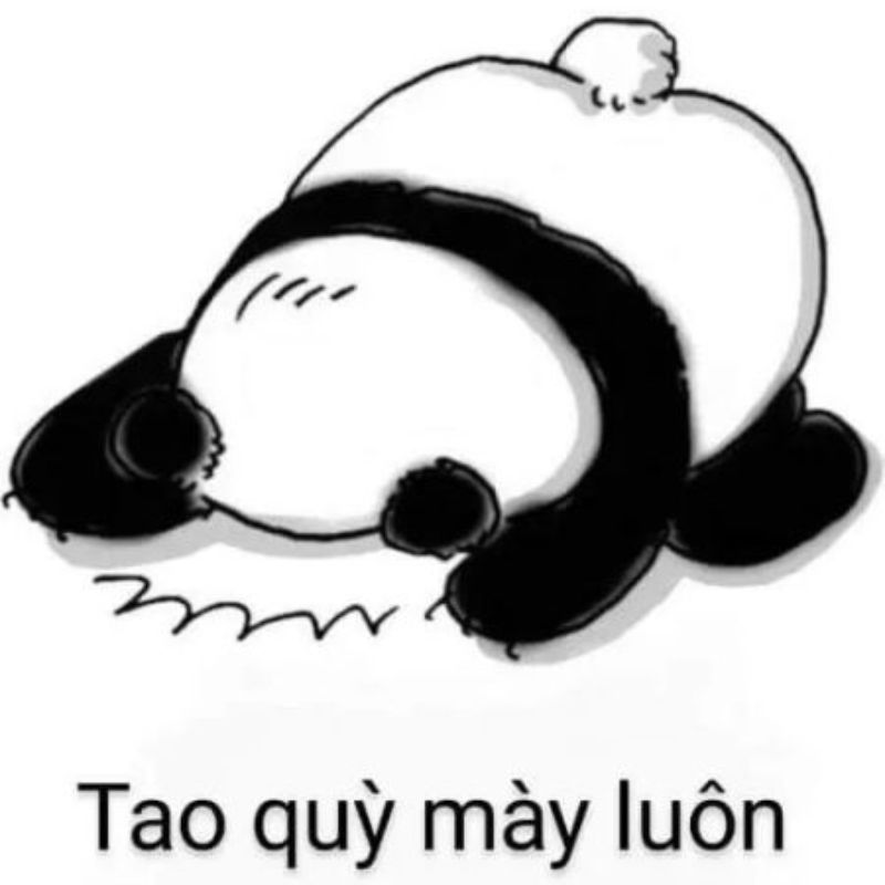 Meme năn nỉ mà hài hước