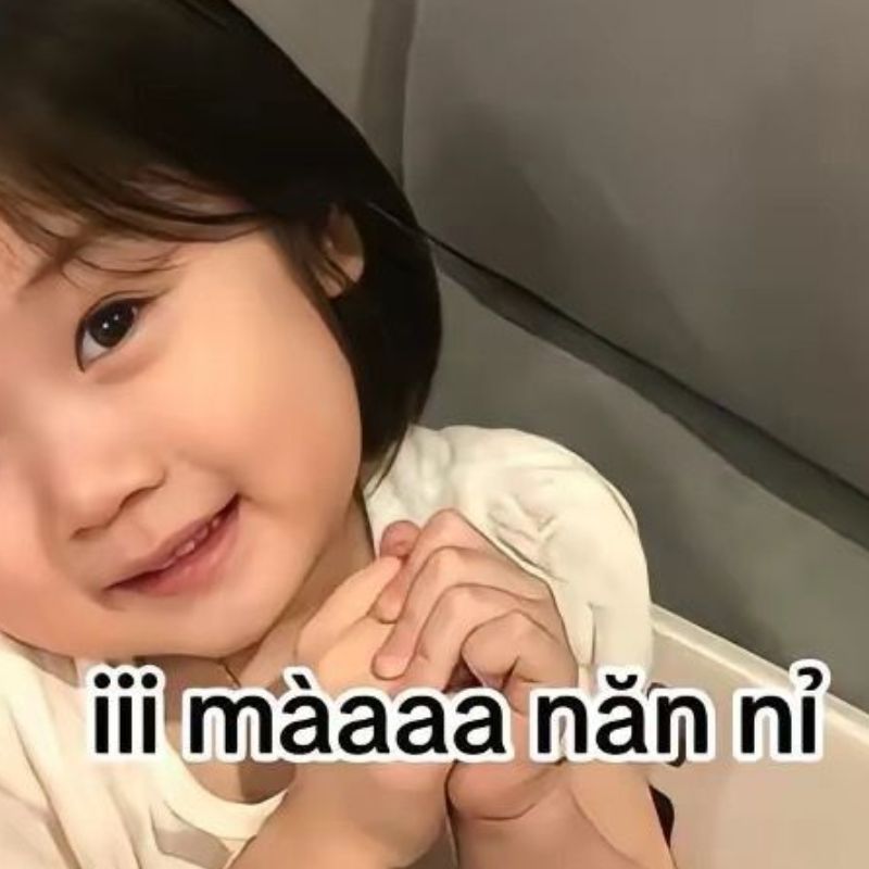 Meme năn nỉ mà đáng yêu