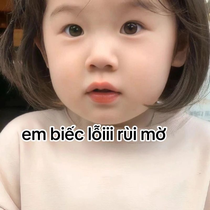 Meme em bé năn nỉ đáng yêu