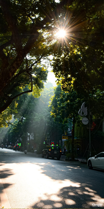 Ảnh nền điện thoại chill thư giãn