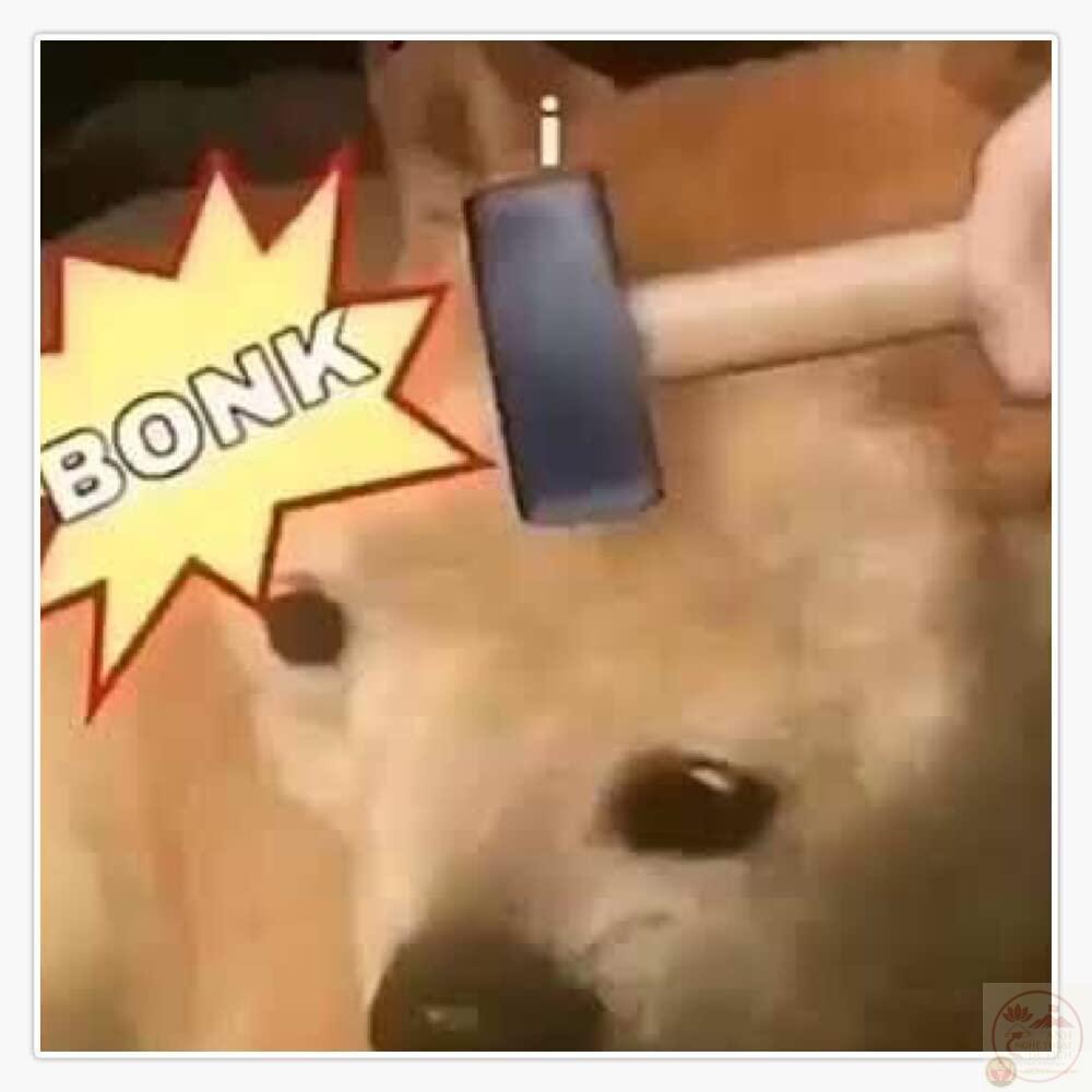 Bonk Meme: What Is It, and Who Is the Cute Dog Behind It?