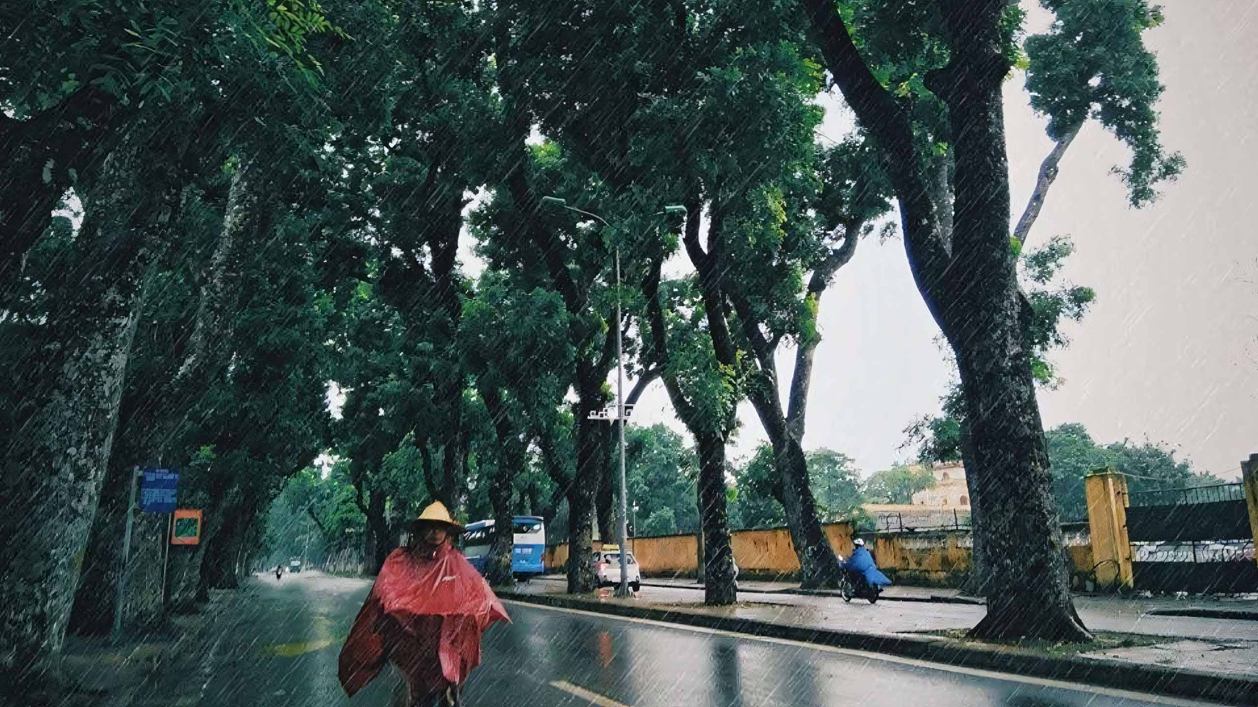 hinh anh sai gon mua buon 2560px 1440px 2kk 9