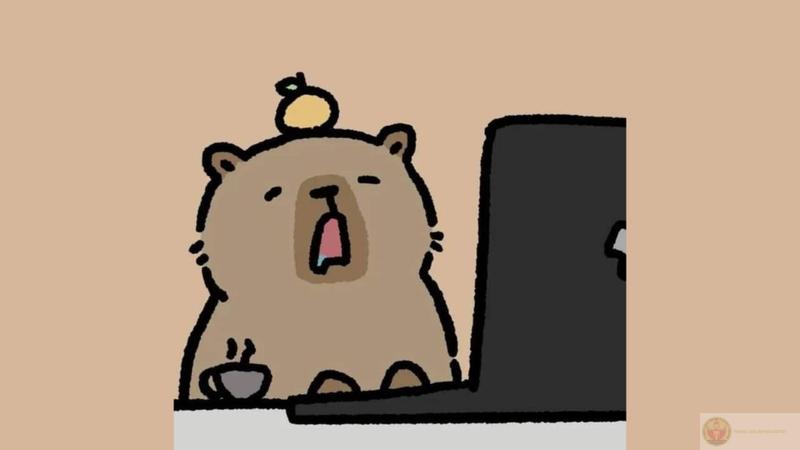 Ăn ngủ chill là phong cách capybara