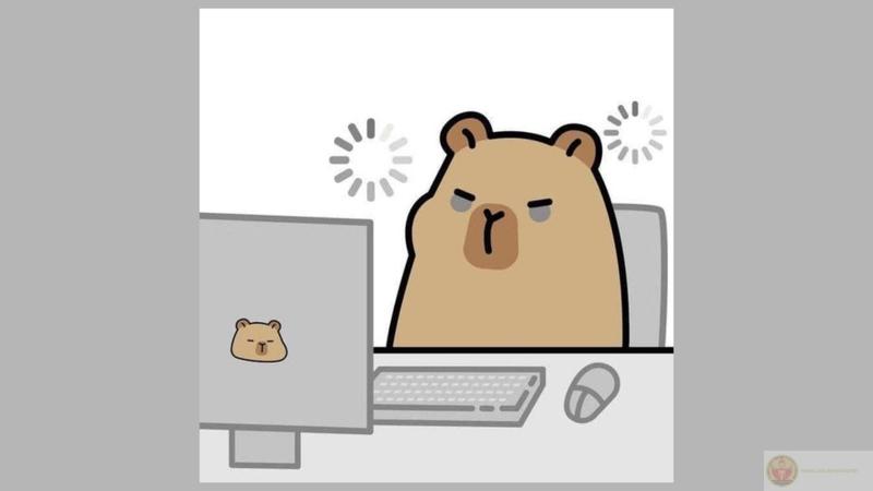 Hãy sống chậm như capybara nằm sưởi nắng