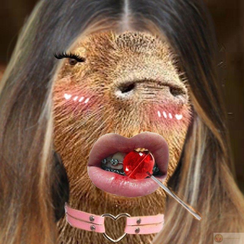 Capybara ngủ để quên, nhưng sáng dậy vẫn nhớ