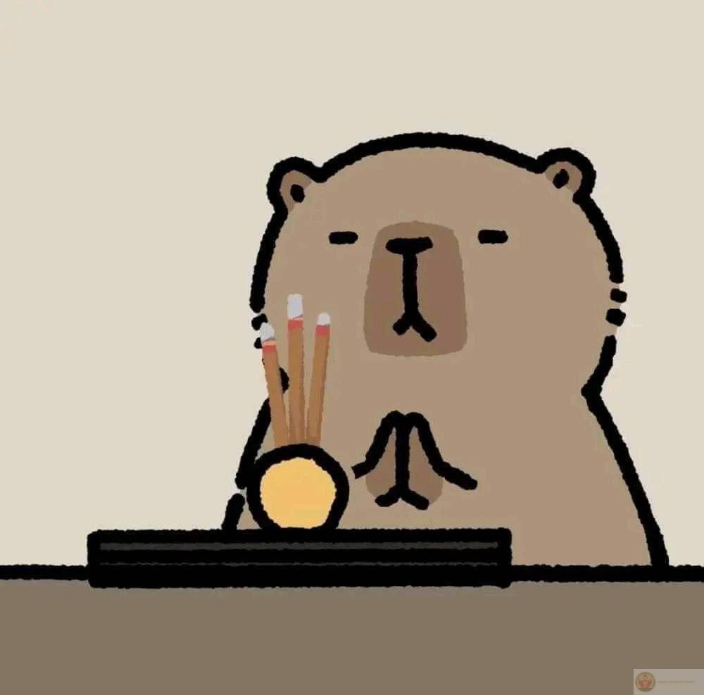Cả thế giới là deadline, capybara là nghỉ lễ