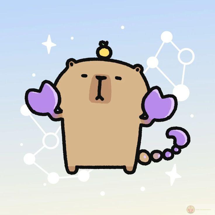 Chuyện lớn hóa nhỏ, capybara hóa khùng