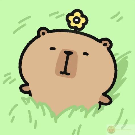 Cuộc sống xô bồ, capybara chọn nằm ườn