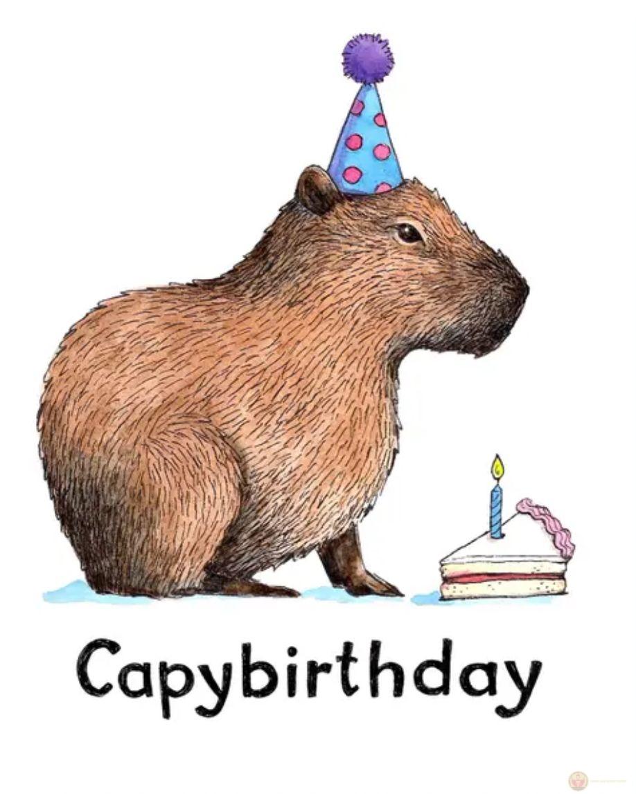 Đôi mắt capybara không buồn, chỉ là đã quá trống