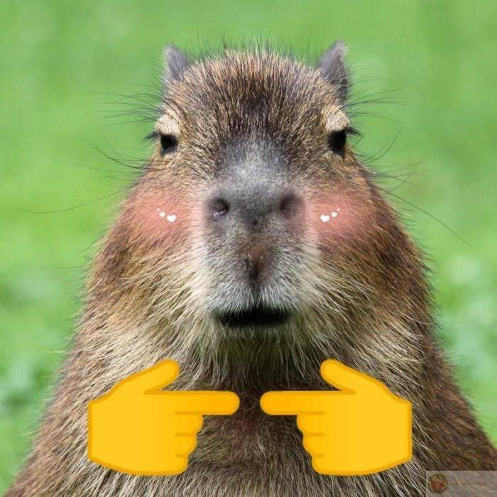Hôm nay không vui? Xem capybara đi