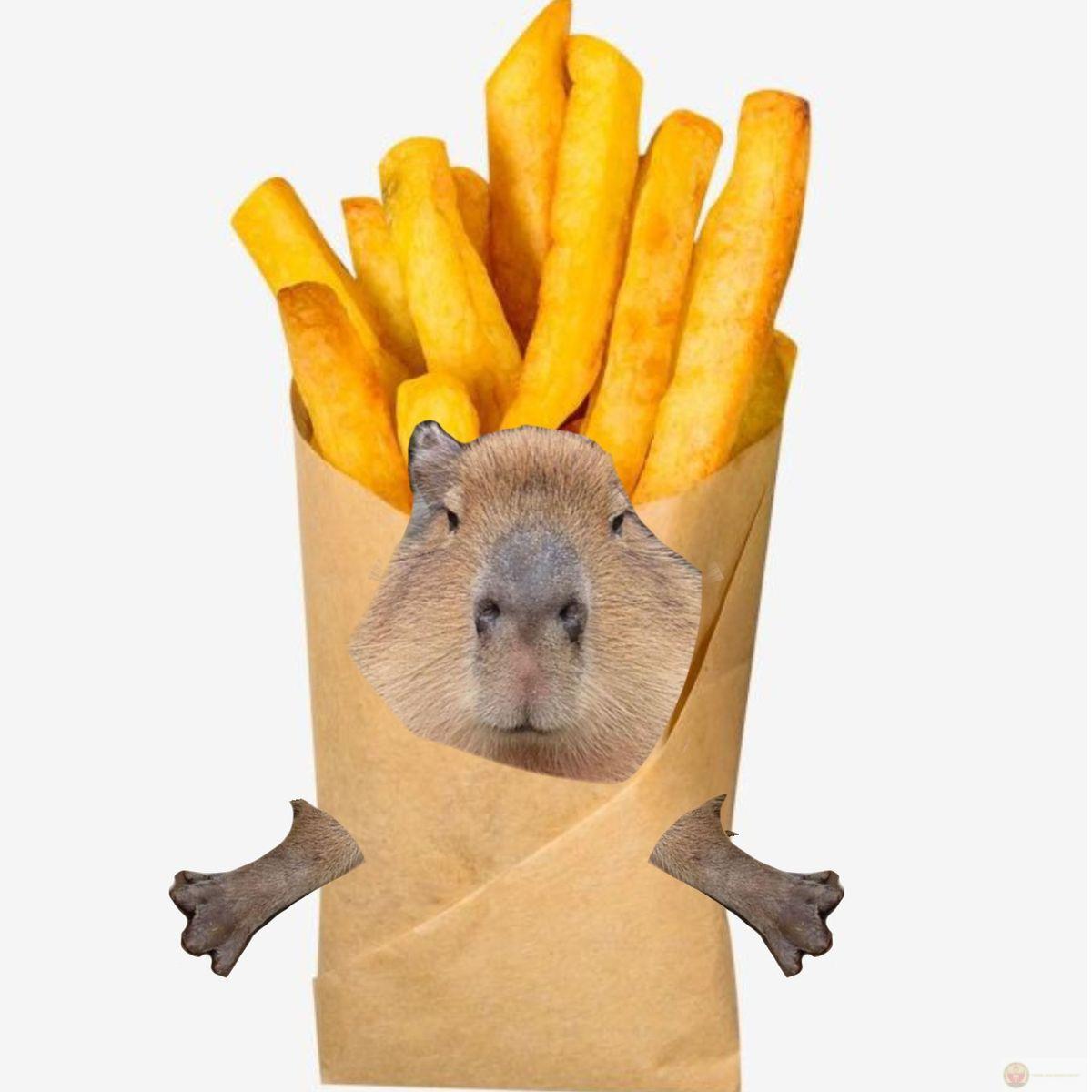 Khi cả lớp lo lắng, mình vẫn capybara