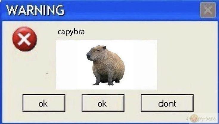 Không ai thấy nước mắt capybara rơi trong lòng