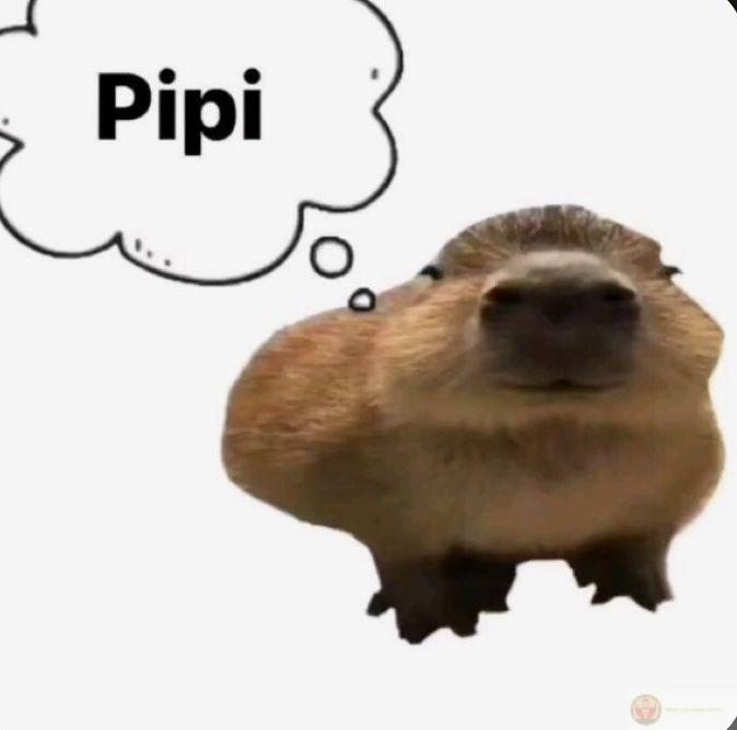 Không phản kháng, không cam chịu — capybara chỉ lặng