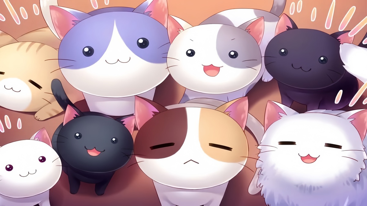 Background cute những chú mèo con đáng yêu
