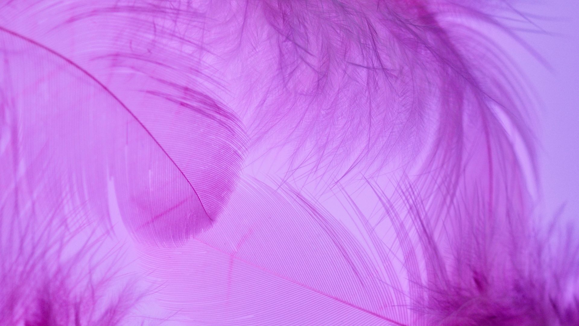 Background tim net 4k