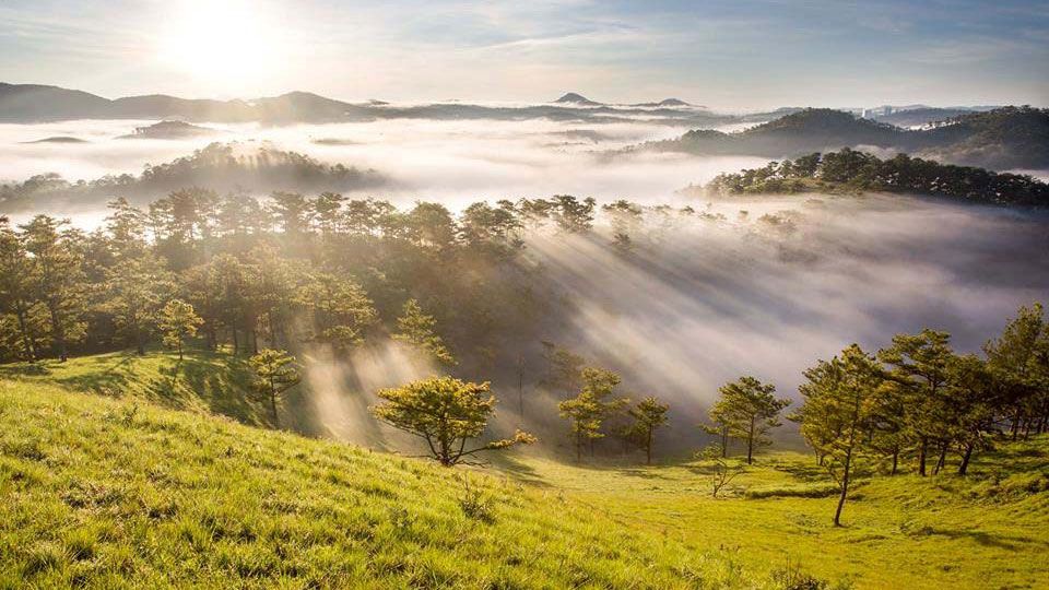 Bảng lảng sương thu