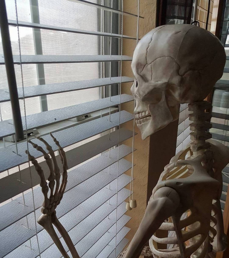 Skeleton waiting