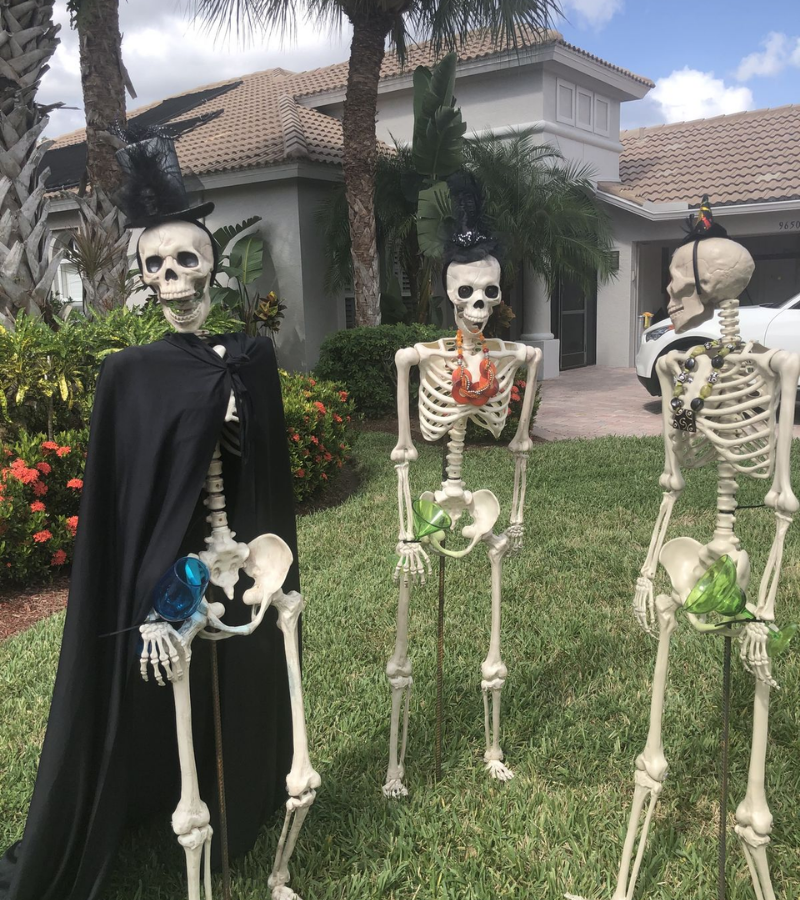 Skeleton Halloween