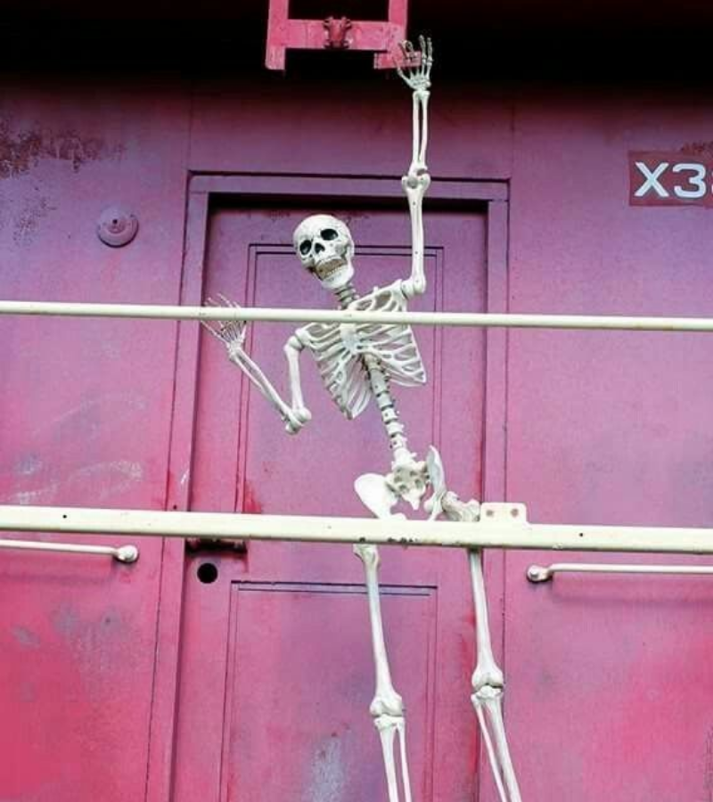 Skeleton đu xà