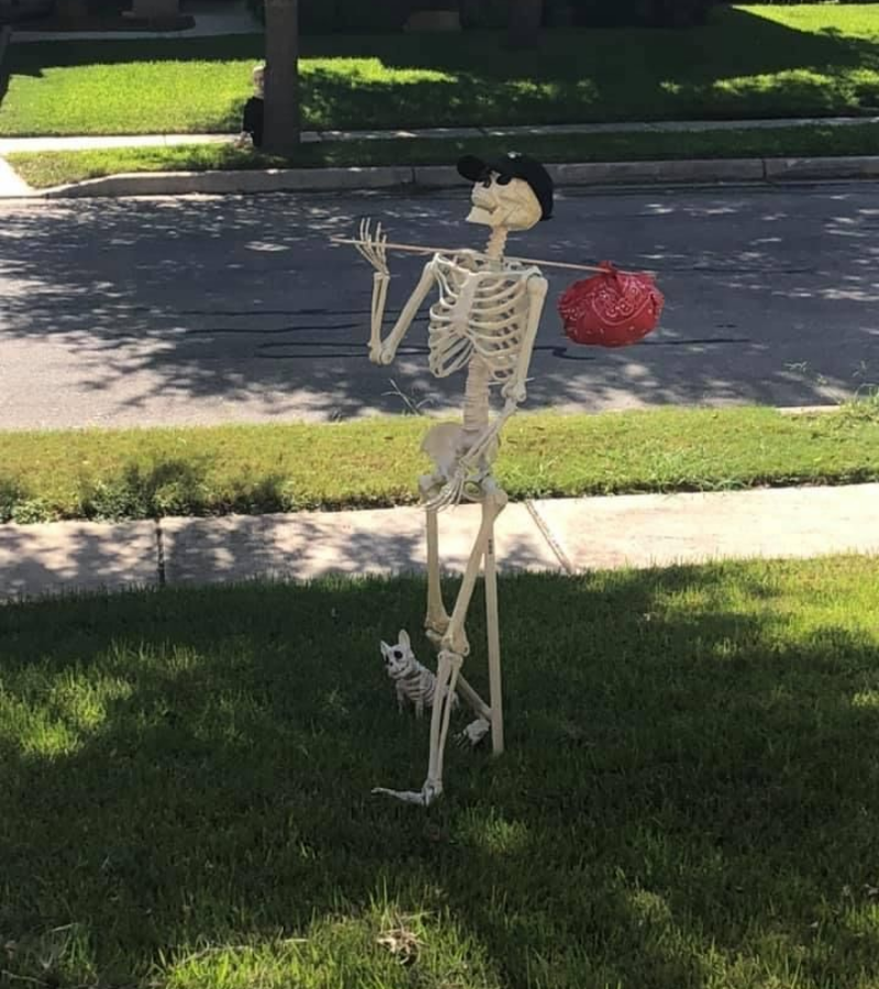 Skeleton vác đồ
