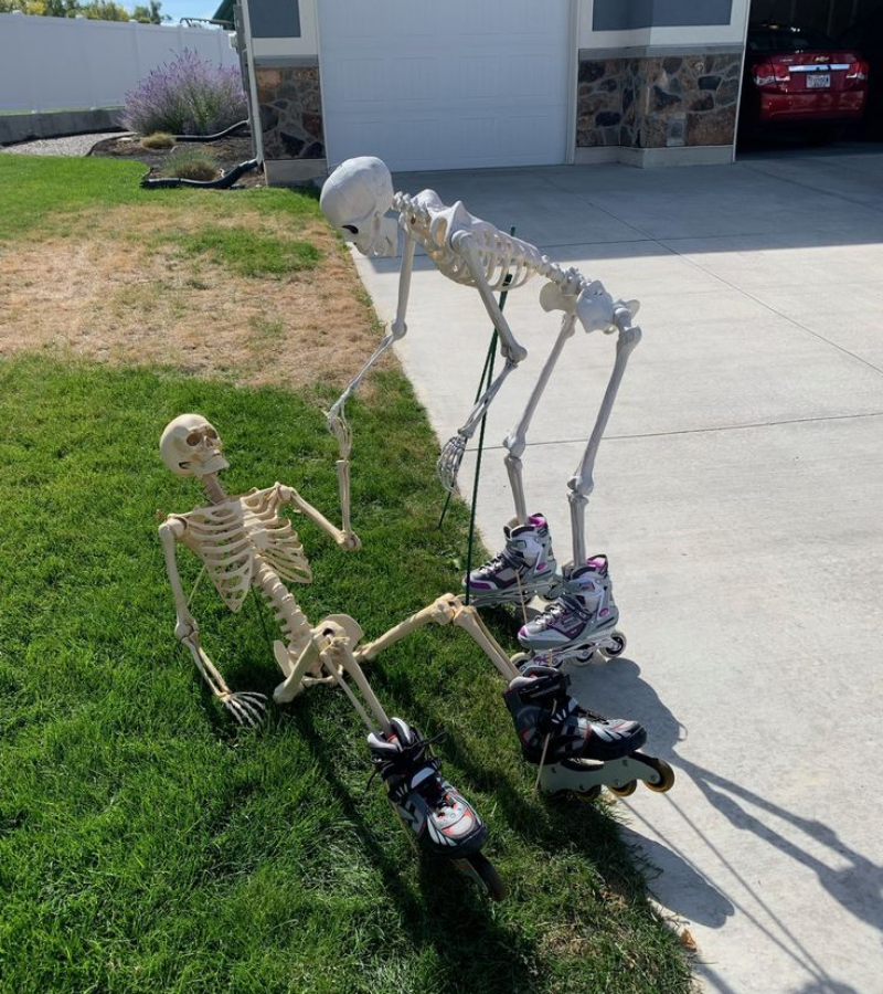Skeleton giúp bạn