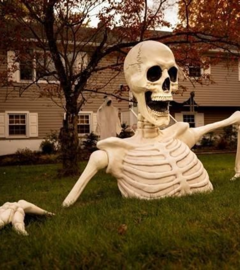 Skeleton khổng lồ hài