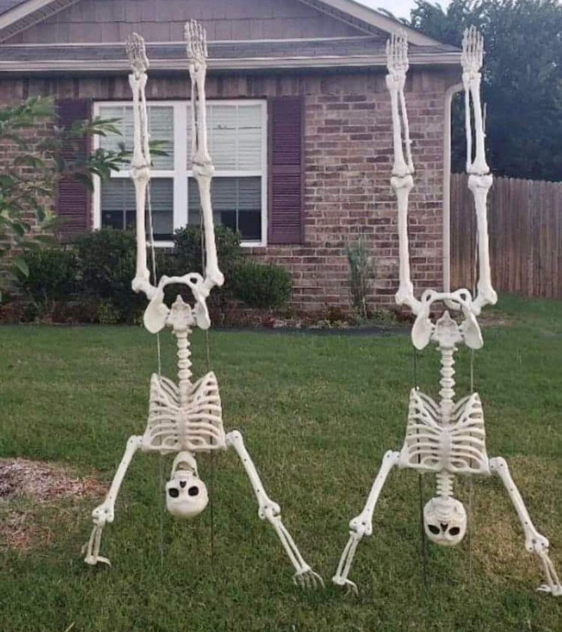 Skeleton đọ đầu