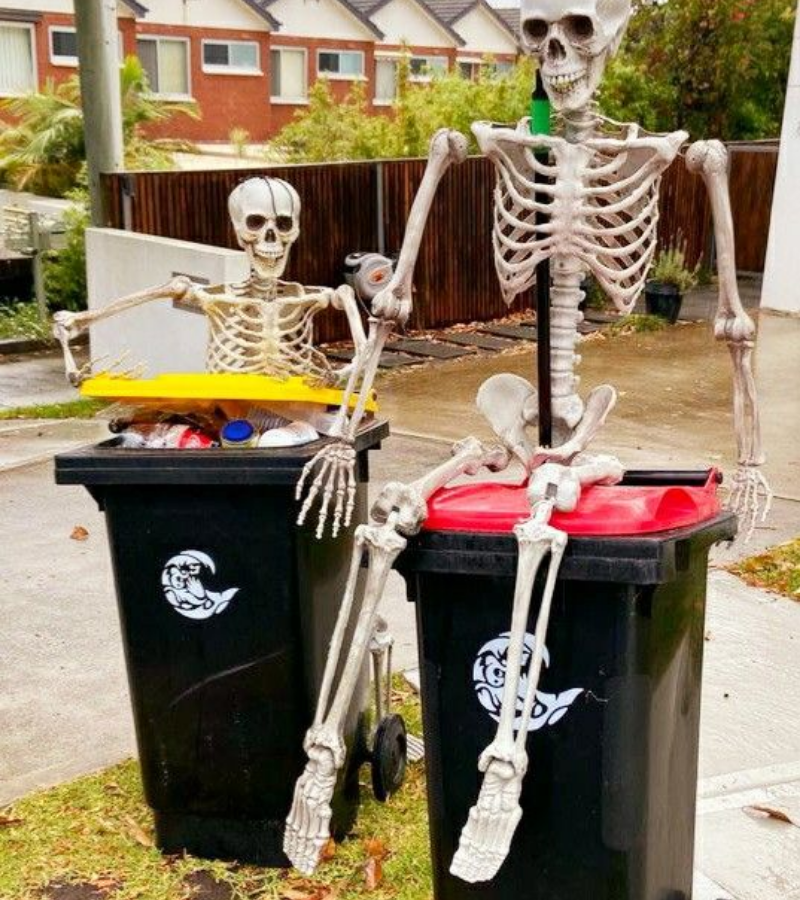 Skeleton thùng rác