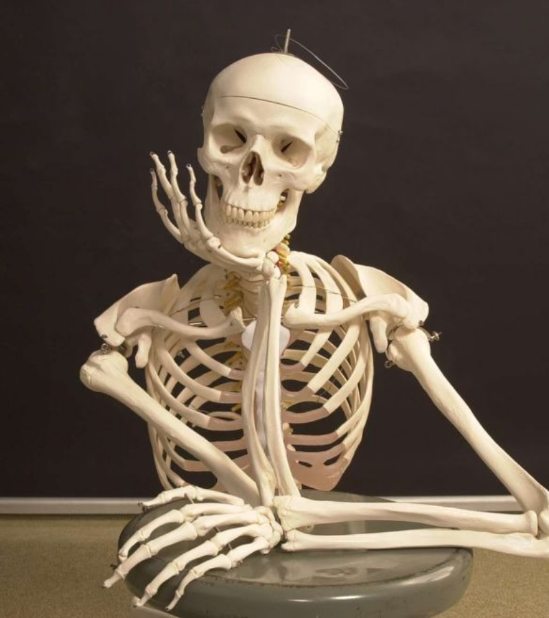 Skeleton waiting crush