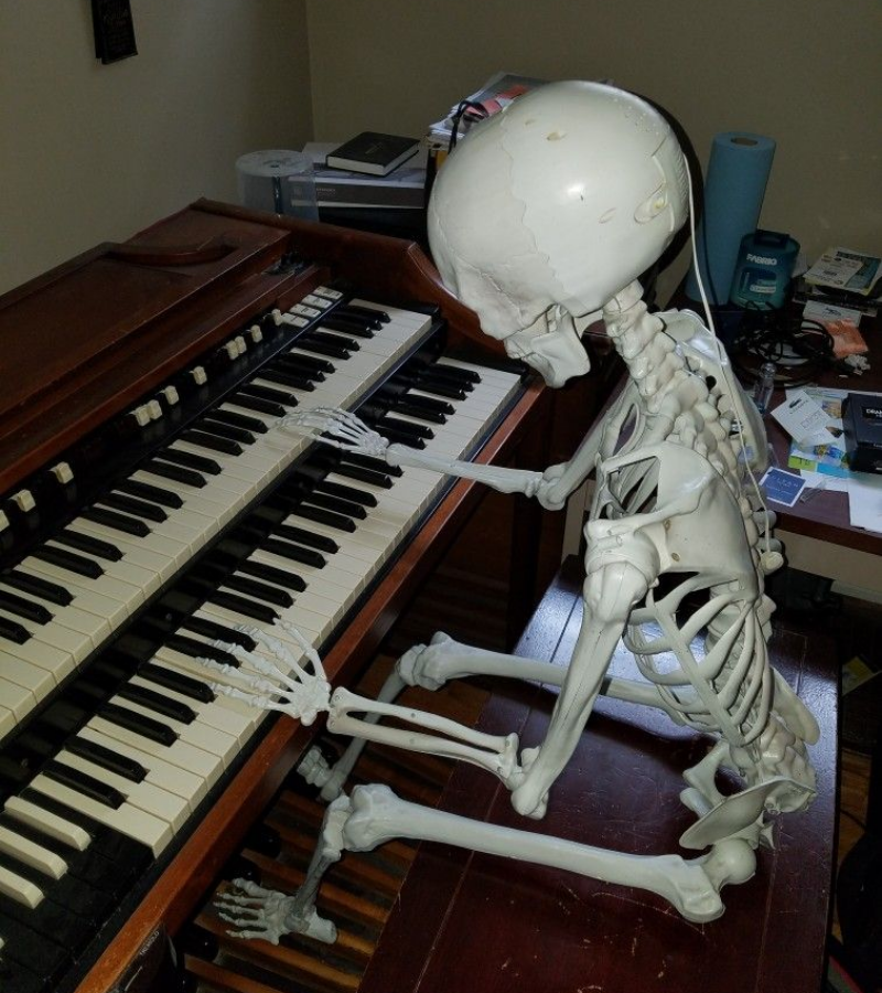 Skeleton đánh đàn