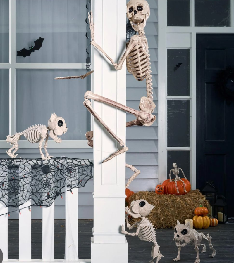 Skeleton bị chó đuổi