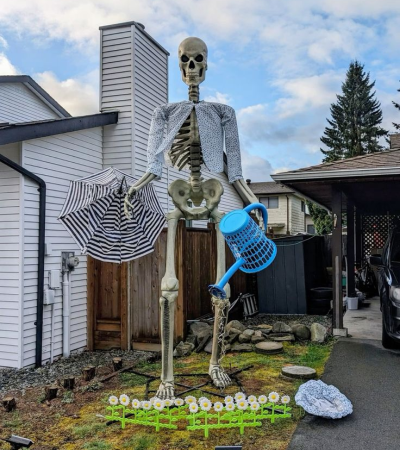 Skeleton tưới cây