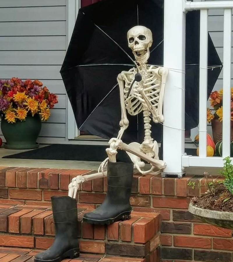 Skeleton ngày mưa