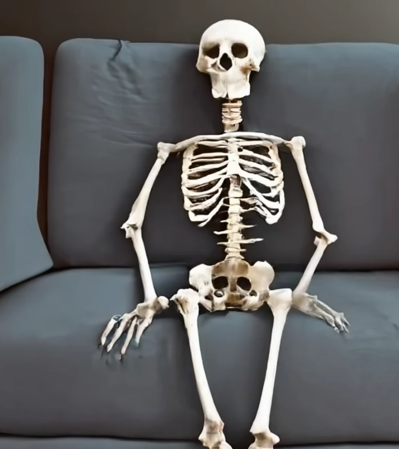 Skeleton chờ chương trình
