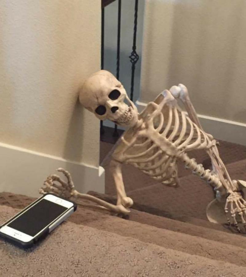 Skeleton chờ trả lời